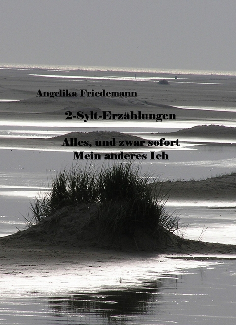 2-Sylt-Erz&auml;hlungen - Angelika Friedemann