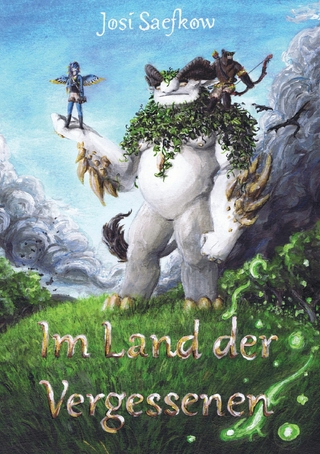 Im Land der Vergessenen - illustrierter Fantasyroman über Hexen, Piraten und imaginäre Freunde