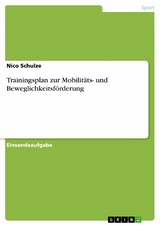 Trainingsplan zur Mobilit&auml;ts- und Beweglichkeitsf&ouml;rderung - Nico Schulze
