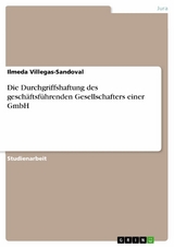 Die Durchgriffshaftung des gesch&auml;ftsf&uuml;hrenden Gesellschafters einer GmbH - Ilmeda Villegas-Sandoval