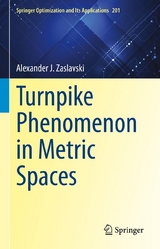 Turnpike Phenomenon in Metric Spaces -  Alexander J. Zaslavski