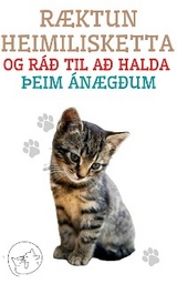 R&aelig;ktun Heimilisketta og r&aacute;&eth; til a&eth; Halda &thorn;eim &Aacute;n&aelig;g&eth;um - Edwin Pinto