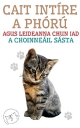 Cait Int&iacute;re a Ph&oacute;r&uacute; Agus Leideanna Chun iad a Choinne&aacute;il S&aacute;sta - Edwin Pinto