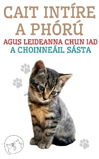 Cait Int&iacute;re a Ph&oacute;r&uacute; Agus Leideanna Chun iad a Choinne&aacute;il S&aacute;sta - Edwin Pinto