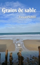 Grains de sable - Pascal Pichon