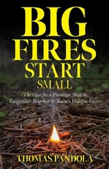 Big Fires Start Small -  Thomas Pandola