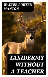 Taxidermy without a Teacher