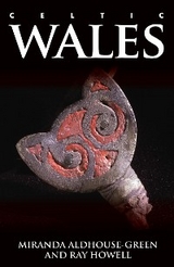 Celtic Wales - Miranda Aldhouse-Green, Ray Howell
