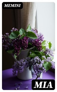 Mia -  Memini