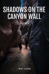 Shadows on the Canyon Wall - Mary Visker