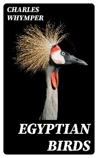 Egyptian Birds - Charles Whymper