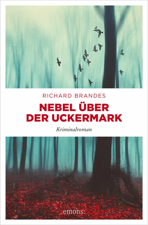 Nebel &uuml;ber der Uckermark - Richard Brandes