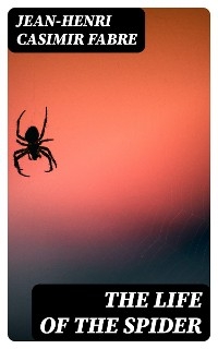 The Life of the Spider