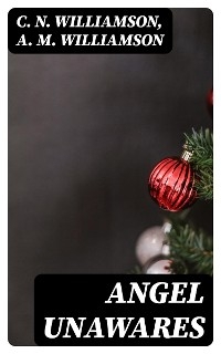 Angel Unawares