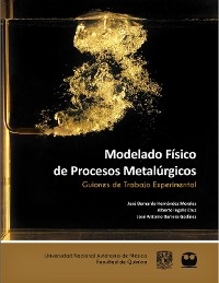 Modelado F&iacute;sico de Procesos Metal&uacute;rgicos. Guiones de Trabajo Experimental - Jos&eacute; Bernardo Hern&aacute;ndez Morales, Alberto Ingalls Cruz, Jos&eacute; Antonio Barrera God&iacute;nez