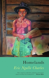 Homelands - Eric Ngalle-Charles