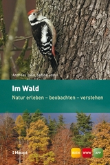 Im Wald - Andreas Jaun, Sabine Joss