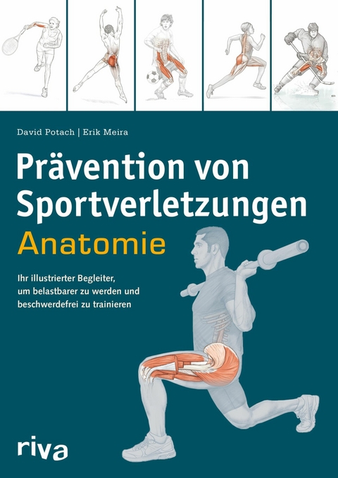Pr&auml;vention von Sportverletzungen - Anatomie -  David Potach,  Erik Meira