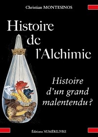 Histoire de l'alchimie, histoire d'un grand malentendu ?