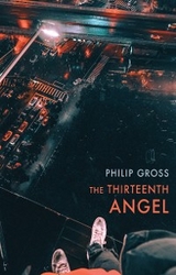 The Thirteenth Angel - Philip Gross
