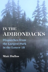 In the Adirondacks - Matt Dallos