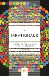 The Irrationals - Julian Havil
