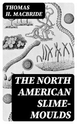 The North American Slime-Moulds - Thomas H. Macbride