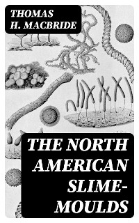 The North American Slime-Moulds