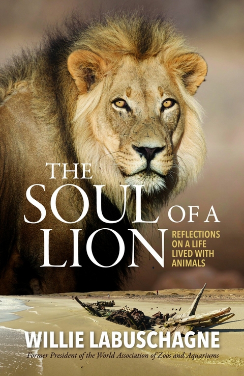 Soul of a Lion -  Willie Labuschagne