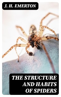 The Structure and Habits of Spiders