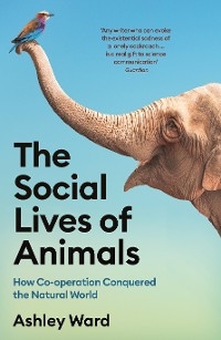The Social Lives of Animals