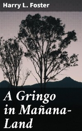 A Gringo in Ma&ntilde;ana-Land - Harry L. Foster