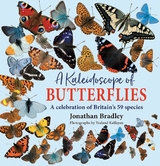 Kaleidoscope of Butterflies -  Jonathan Bradley