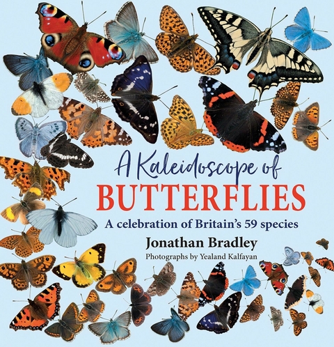Kaleidoscope of Butterflies -  Jonathan Bradley