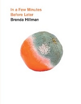 In a Few Minutes Before Later -  Brenda Hillman