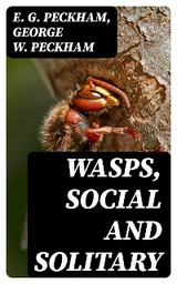 Wasps, Social and Solitary - E. G. Peckham, George W. Peckham
