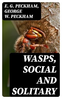 Wasps, Social and Solitary - E. G. Peckham, George W. Peckham