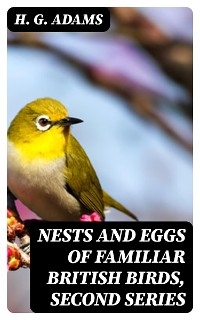 Nests and Eggs of Familiar British Birds, Second Series