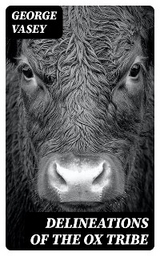 Delineations of the Ox Tribe - George Vasey