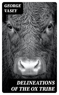 Delineations of the Ox Tribe