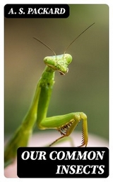 Our Common Insects - A. S. Packard