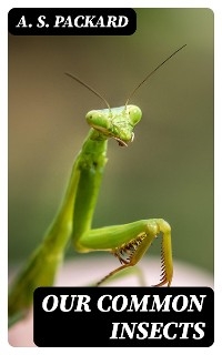 Our Common Insects - A. S. Packard