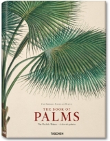 Martius. The Book of Palms - H. Walter Lack