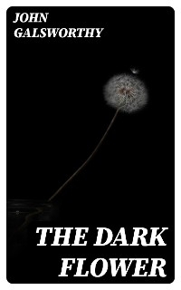 The Dark Flower - John Galsworthy