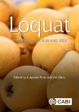 Loquat - 