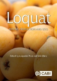 Loquat