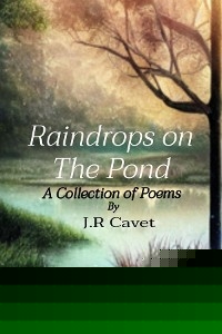 Raindrops on The Pond