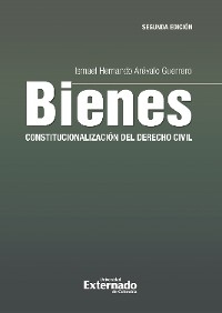 Bienes: constitucionalizaci&oacute;n del derecho civil - Ismael Hernando Ar&eacute;valo Guerrero