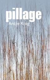 Pillage - Antjie Krog