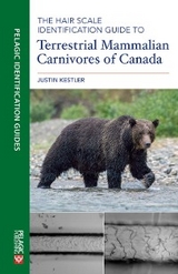 The Hair Scale Identification Guide to Terrestrial Mammalian Carnivores of Canada - Justin Kestler